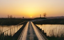 Весенние впечатления 2022