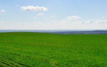 Апрельское путешествие по Тузловским склонам с цветами и облаками.