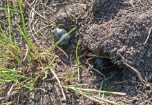 Апрельское путешествие по Тузловским склонам с цветами и облаками.