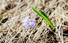 Апрельское путешествие по Тузловским склонам с цветами и облаками.