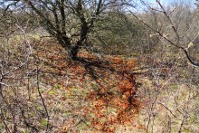 Апрельское путешествие по Тузловским склонам с цветами и облаками.