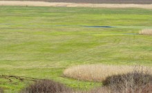 Апрельское путешествие по Тузловским склонам с цветами и облаками.