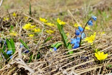 Апрельское путешествие по Тузловским склонам с цветами и облаками.