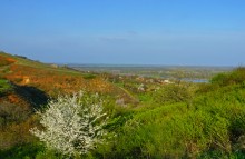 Весна на Раздорских склонах и в станице Раздорской