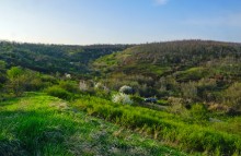 Весна на Раздорских склонах и в станице Раздорской