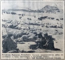 Прогулка по Ростову на Дону в 1961-м году