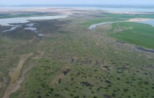 Водно-болотные угодья на берегах Весёловского водохранилища на Маныче.