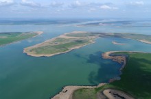 Водно-болотные угодья на берегах Весёловского водохранилища на Маныче.