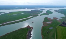 Водно-болотные угодья на берегах Весёловского водохранилища на Маныче.