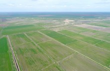 Водно-болотные угодья на берегах Весёловского водохранилища на Маныче.