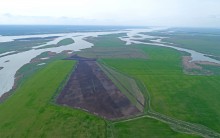 Водно-болотные угодья на берегах Весёловского водохранилища на Маныче.