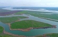 Водно-болотные угодья на берегах Весёловского водохранилища на Маныче.
