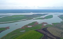 Водно-болотные угодья на берегах Весёловского водохранилища на Маныче.