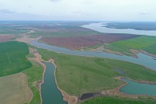 Водно-болотные угодья на берегах Весёловского водохранилища на Маныче.
