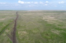 Водно-болотные угодья на берегах Весёловского водохранилища на Маныче.