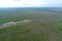 Водно-болотные угодья на берегах Весёловского водохранилища на Маныче.