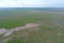 Водно-болотные угодья на берегах Весёловского водохранилища на Маныче.