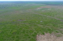 Водно-болотные угодья на берегах Весёловского водохранилища на Маныче.