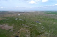 Водно-болотные угодья на берегах Весёловского водохранилища на Маныче.