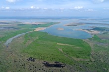 Водно-болотные угодья на берегах Весёловского водохранилища на Маныче.