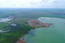 Водно-болотные угодья на берегах Весёловского водохранилища на Маныче.