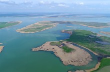 Водно-болотные угодья на берегах Весёловского водохранилища на Маныче.