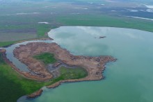 Водно-болотные угодья на берегах Весёловского водохранилища на Маныче.