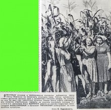 Прогулка в 1961-год вместе с газетой "Молот"