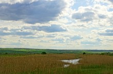 Весенний Тузлов