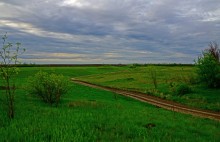 Весенние дороги