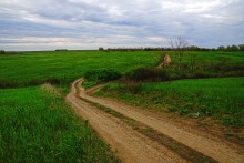 Весенние дороги