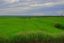 Весенние дороги