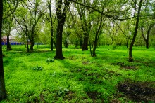 Путешествие по весенним маныческим берегам