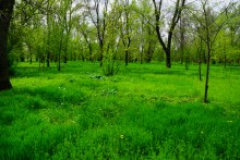 Путешествие по весенним маныческим берегам