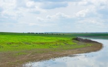 Путешествие по весенним маныческим берегам