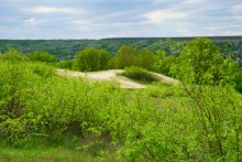 Геология и природа берегов реки Калитвы у хуторов Ленина и Рудаков