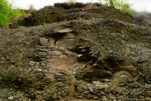 Геология и природа берегов реки Калитвы у хуторов Ленина и Рудаков