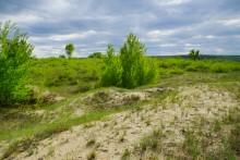 Геология и природа берегов реки Калитвы у хуторов Ленина и Рудаков