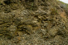 Геология и природа берегов реки Калитвы у хуторов Ленина и Рудаков