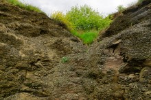 Геология и природа берегов реки Калитвы у хуторов Ленина и Рудаков