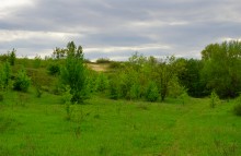 Геология и природа берегов реки Калитвы у хуторов Ленина и Рудаков