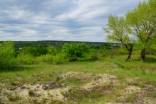 Геология и природа берегов реки Калитвы у хуторов Ленина и Рудаков