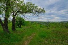 Геология и природа берегов реки Калитвы у хуторов Ленина и Рудаков