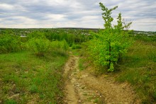 Геология и природа берегов реки Калитвы у хуторов Ленина и Рудаков