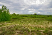 Геология и природа берегов реки Калитвы у хуторов Ленина и Рудаков