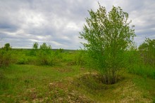 Геология и природа берегов реки Калитвы у хуторов Ленина и Рудаков