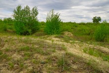 Геология и природа берегов реки Калитвы у хуторов Ленина и Рудаков