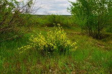 Геология и природа берегов реки Калитвы у хуторов Ленина и Рудаков