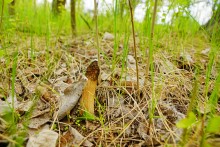 Геология и природа берегов реки Калитвы у хуторов Ленина и Рудаков