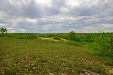 Геология и природа берегов реки Калитвы у хуторов Ленина и Рудаков